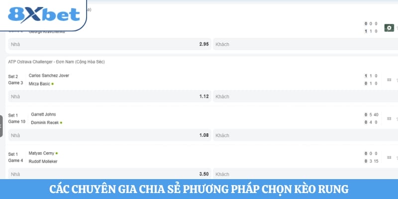 Các chuyên gia chia sẻ phương pháp chọn kèo rung