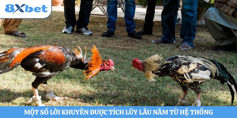 Một số lời khuyên được tích lũy lâu năm từ hệ thống