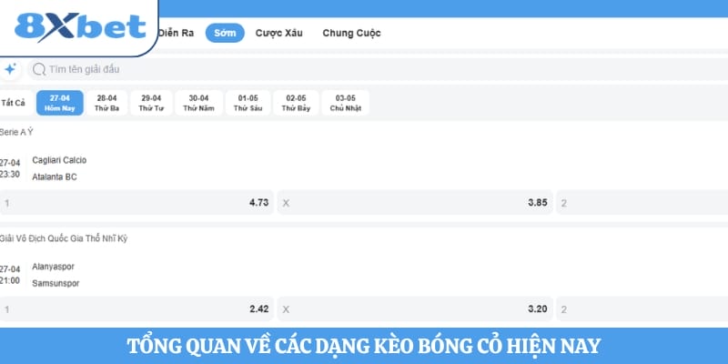 Tổng quan về các dạng kèo bóng cỏ hiện nay
